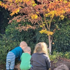 Meet your Posher, Donald